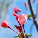 mm562926的头像-风悦楼